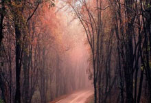 鲁迪：会和全队谈裤袜的事情，他和丁丁&卢卡库是队长候选人.