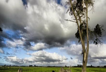 开云体育：社会我朱哥！霍勒迪10中6得16分2板3助1断 正负值+28.