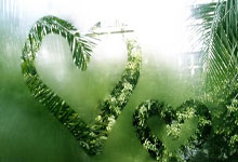 开云体育：张之臻因伤退出蒙特卡洛大师赛资格赛 此前已退出迈阿密大师赛.