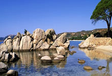 开云体育：[CBA]CBA月度最佳国际球员——琼斯.